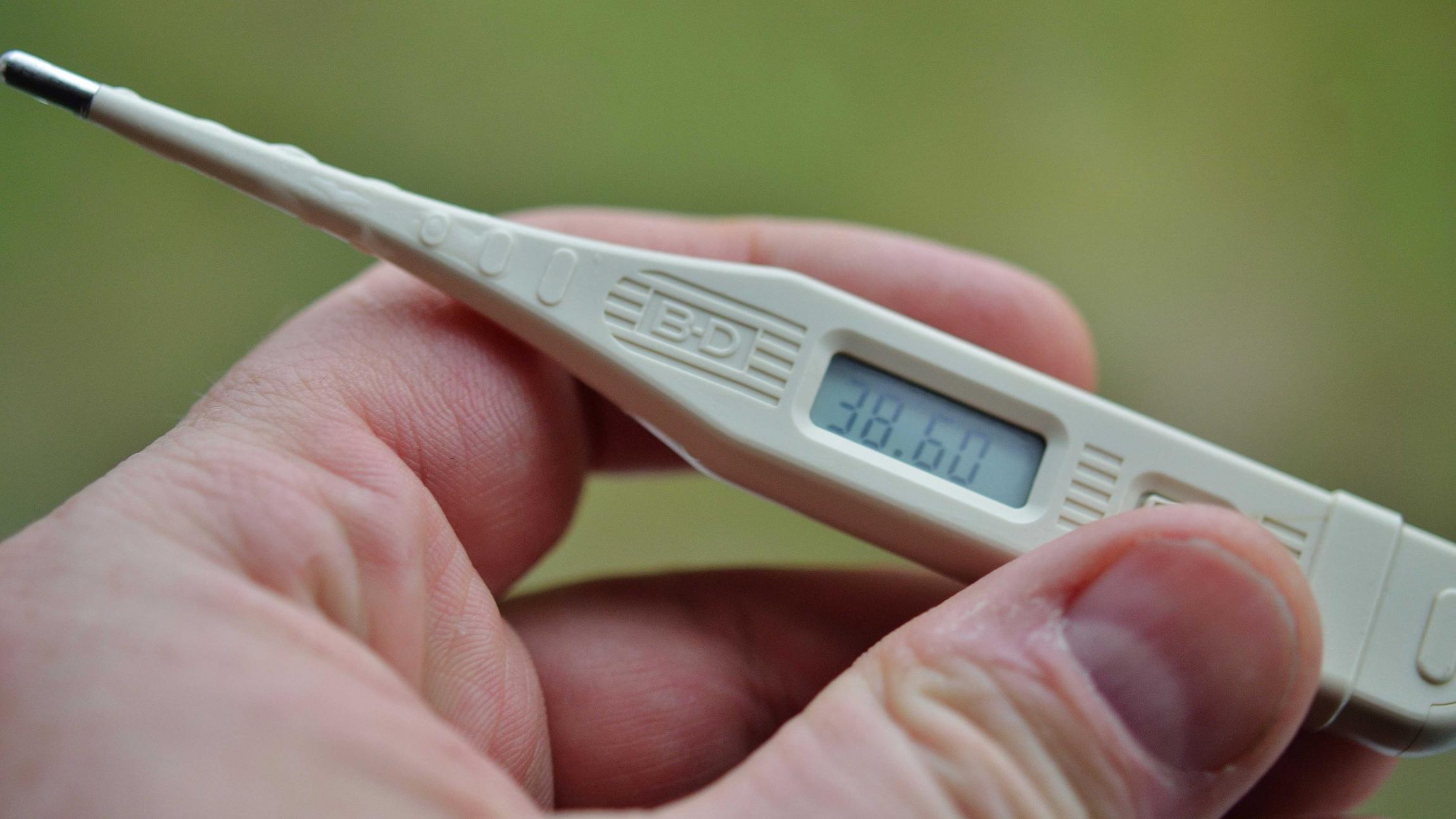 En hånd holder et termometer, der viser feber