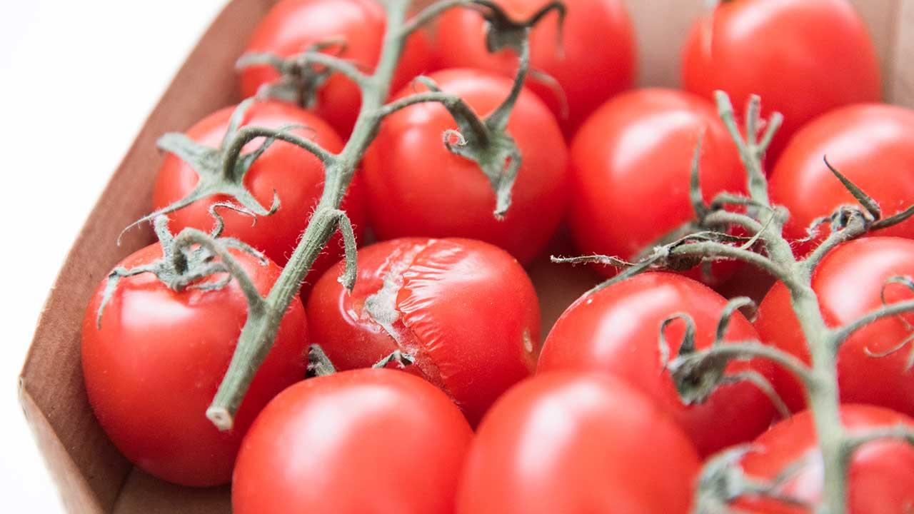 En dårlig tomat blandt friske tomater i bakke