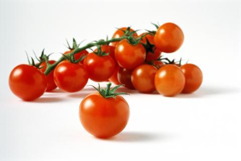 klase tomater