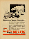 Gargoyle Arctic 