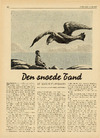 Den snoede tand
