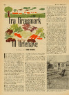 Fra græsmark til urtehave