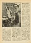 Spejlet