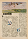 Fugletræk