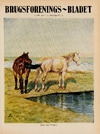 Heste ved stranden