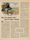 Bør der plantes skov på de magre joder