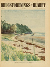Ved Høve strand