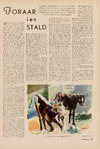 Sommer i en stald
