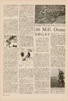 40 mill. Orme søges