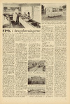 Fisk i brugsforeningerne