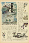 Fiskenes dyrehave