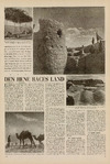 Den rene races land