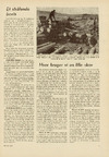 Hver bruger vi en lille skov