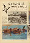 Der flyver så mange fugle 