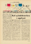 Penge og samfund: Hvem bruger olien?