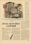 Hvad skovsøen gemmer 