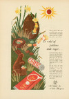 Rollo & Sport chokolade 