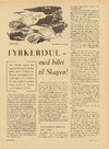 Tyrkerdue - med billet til skagen!