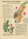 Nordens kraft - hvorfra, hvorhen? 