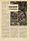 Kakaoen er hovedsagen