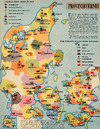 Provinsbyernes tempo på højde med hovedstadens…