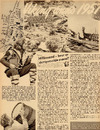 Viking anno 1957