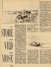 Store Vildmose 