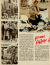 Ferme billige loppemagere 