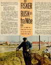 Fiskerbusk fra Nibe 