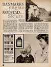 Danmmarks yngste Købstad Skjern