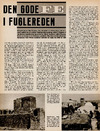 Den gode fe i fuglereden
