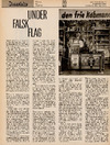 Under falsk flag 