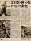 Guldfeberen er uafrystelig 