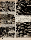 Millioner af bilvrag havner her