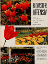 Blomster offensiv
