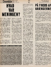 Hvad var meningen? 