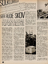 Solklokker over rude skov 