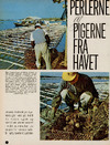 Perlerne og pigerne fra havet 