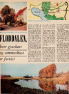 Floddalen hvor gravkøer og sommerhuse er forvist