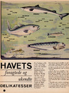 Havets foragtede og ukendte delikatesser 
