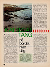 Kattegat-tang på bordet hver dag 