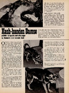 Hash-hunden Bamse 