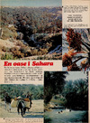 En oase i Sahara