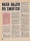 Hash-hajer og småfisk 