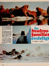 En hvalros-families endeligt 