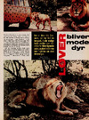 Løver bliver modedyr 