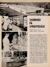 Skønhed på sprøjtedåse 