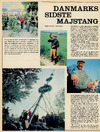 Danmarks sidste majstang 