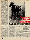 Væddeløbet starter når hesten fødes 