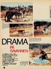 Drama på savannen
